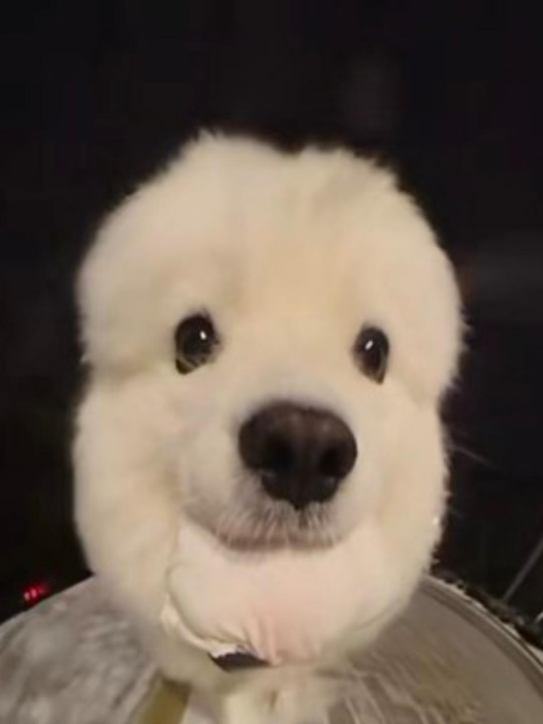 手机用户6511_u5t6