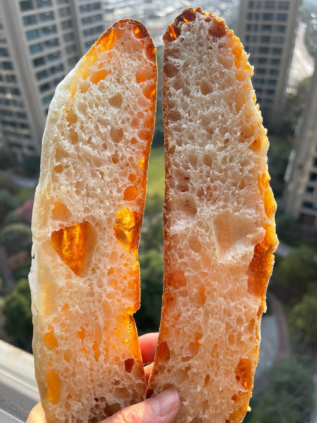 家庭版法棍，没蒸汽也能做！