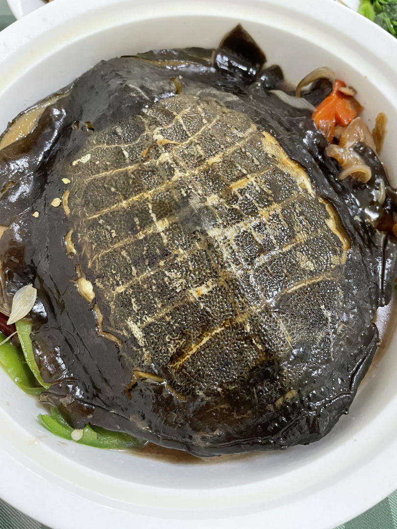 红烧甲鱼