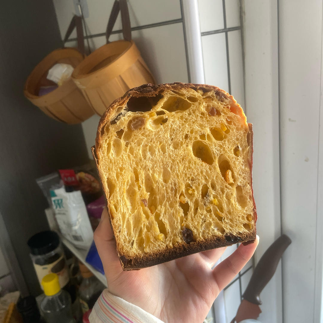 意大利水式酵母潘娜托尼|不含起种附鲁邦法