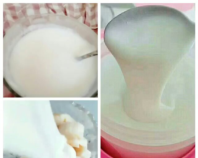 大果粒水果酸奶的做法