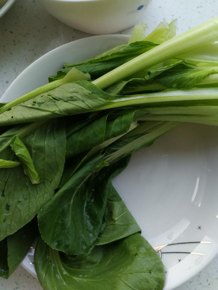 内酯豆腐鸡枞芽虾仁汤的做法 步骤1