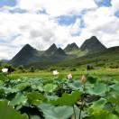 小鱼妈妈爱美食