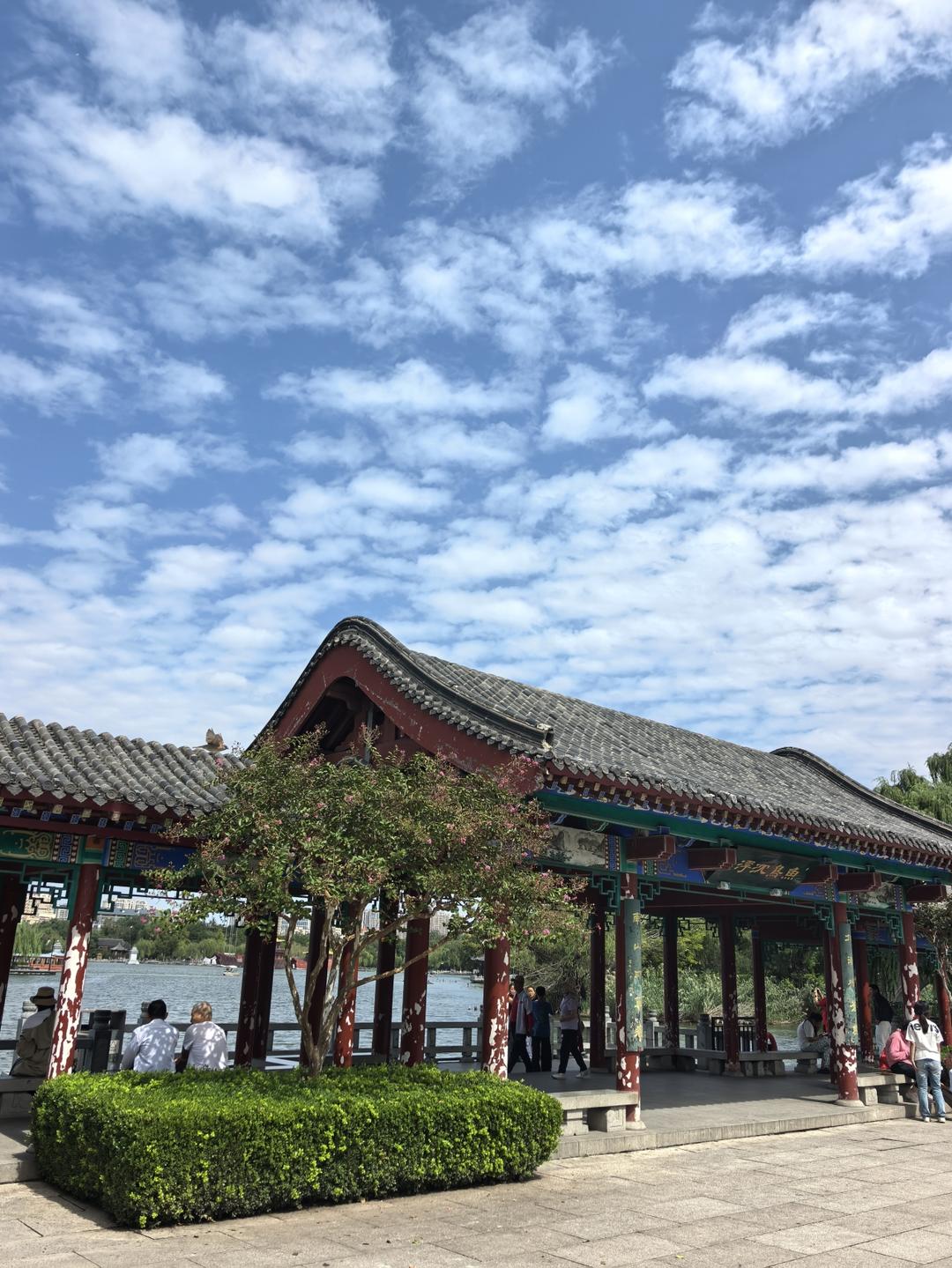 奶酪棒