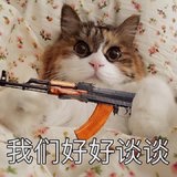 梦想矫情的猫球球的厨房