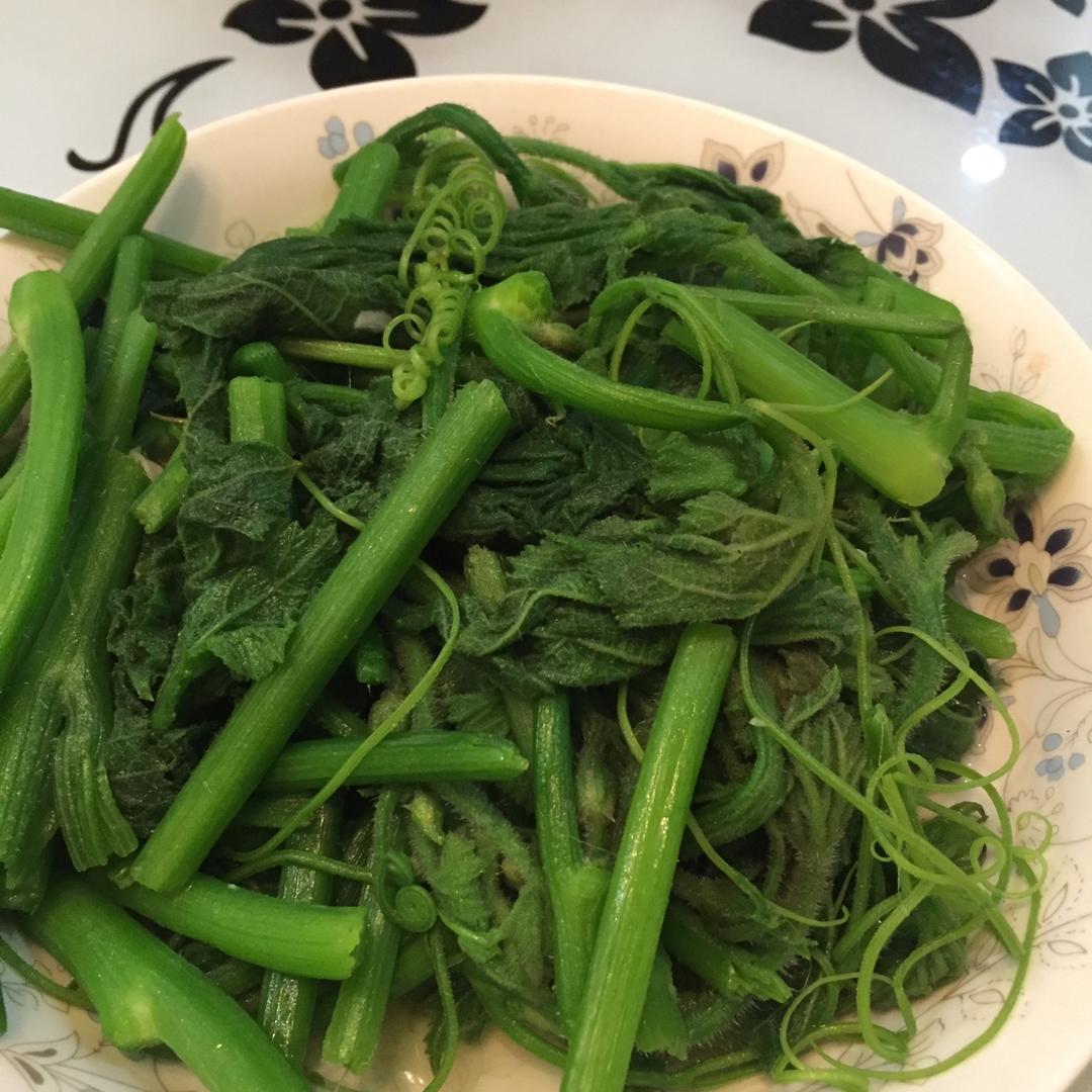 sophy周索菲做的清炒南瓜藤清炒南瓜藤家常菜首页登录注册作品动态