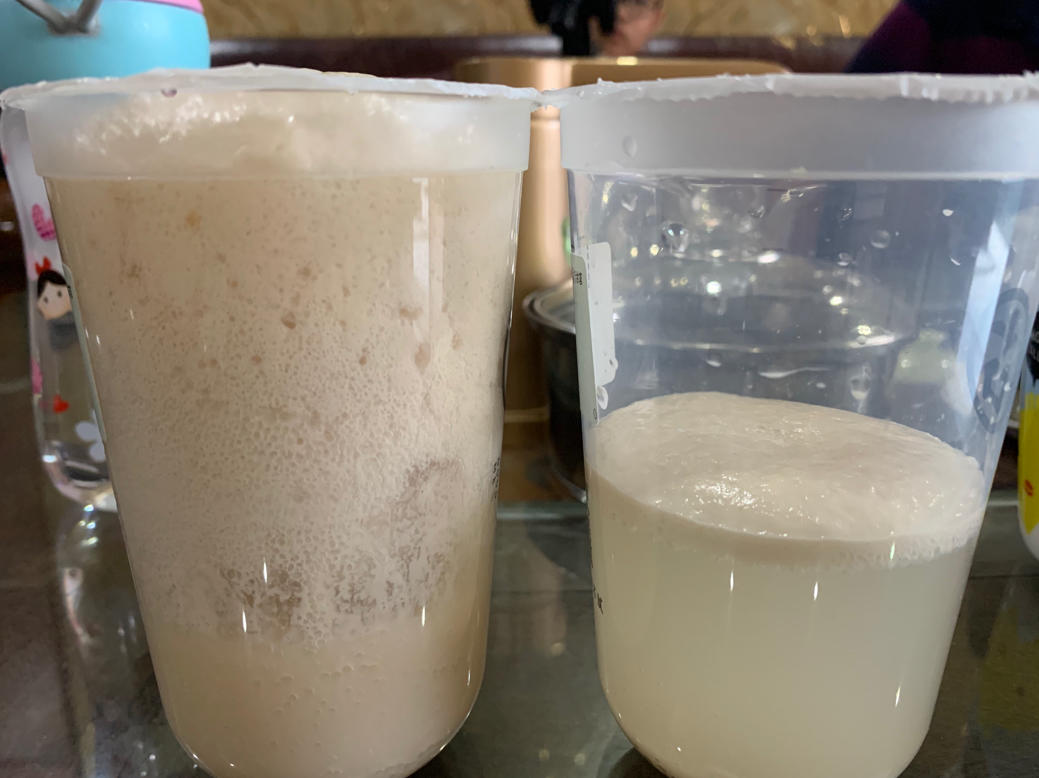 检验酵母活性