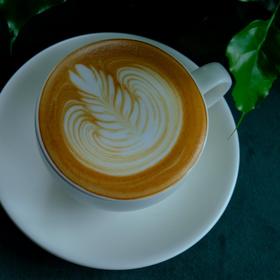 咖啡拉花成长记录