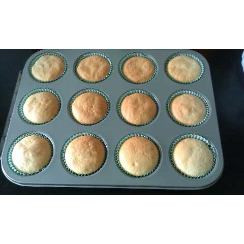 清爽软润---无油酸奶小蛋糕