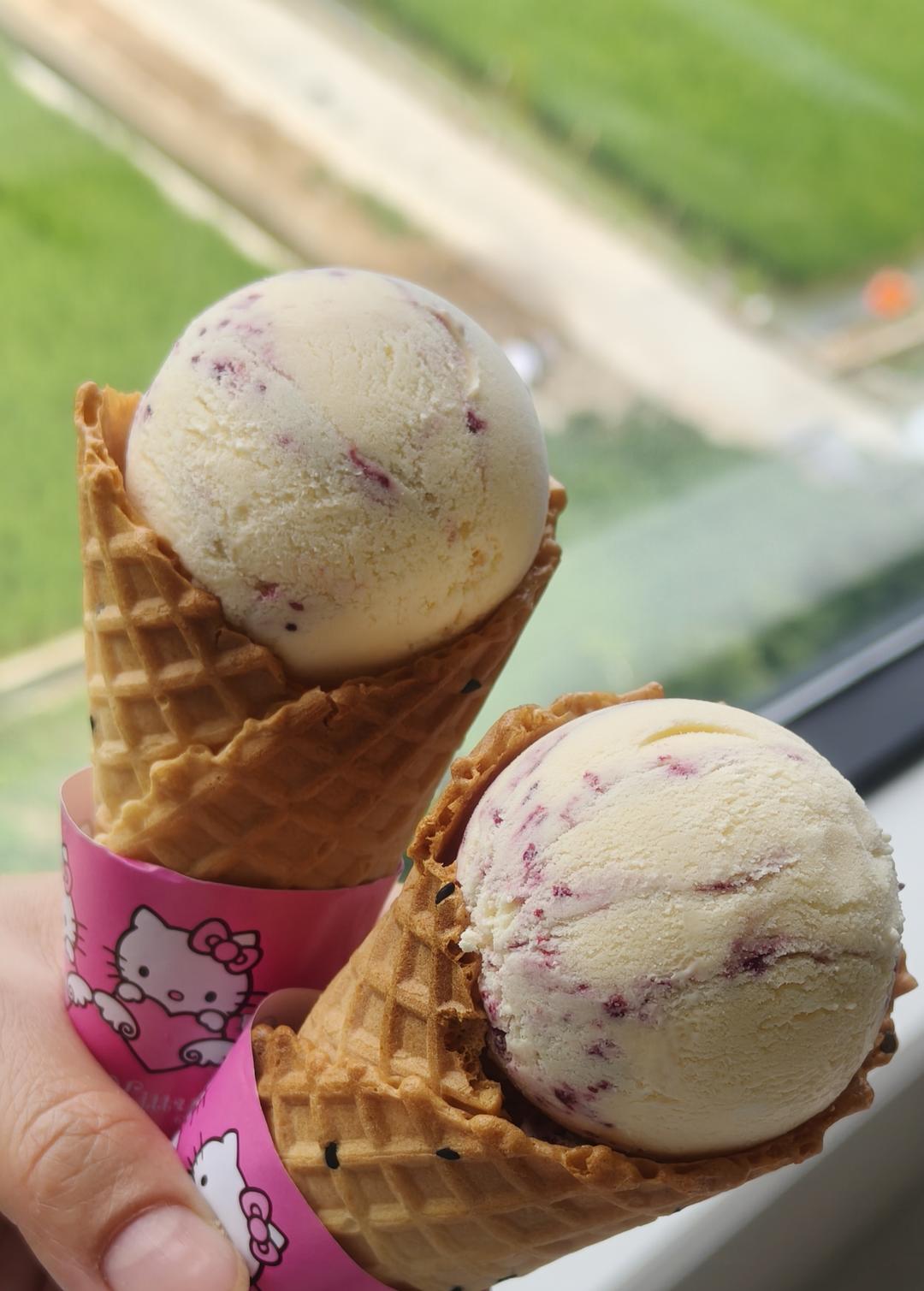 朗姆黑加仑冰淇淋 Rum Raisin Ice cream