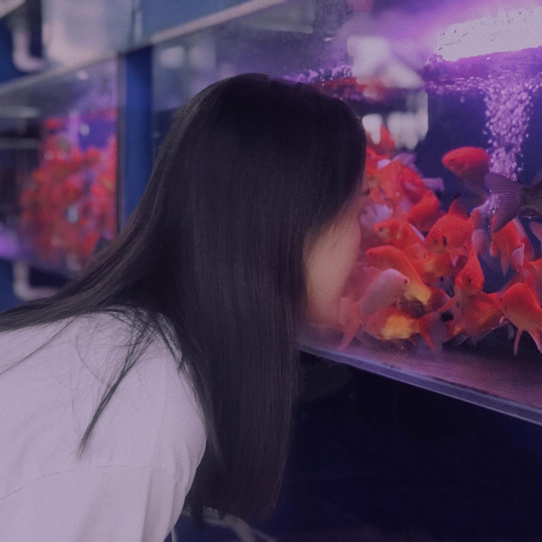 金大叔-