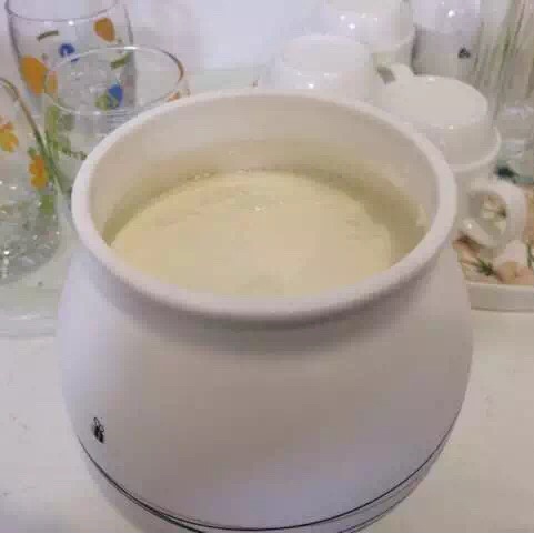 酸奶机自制酸奶