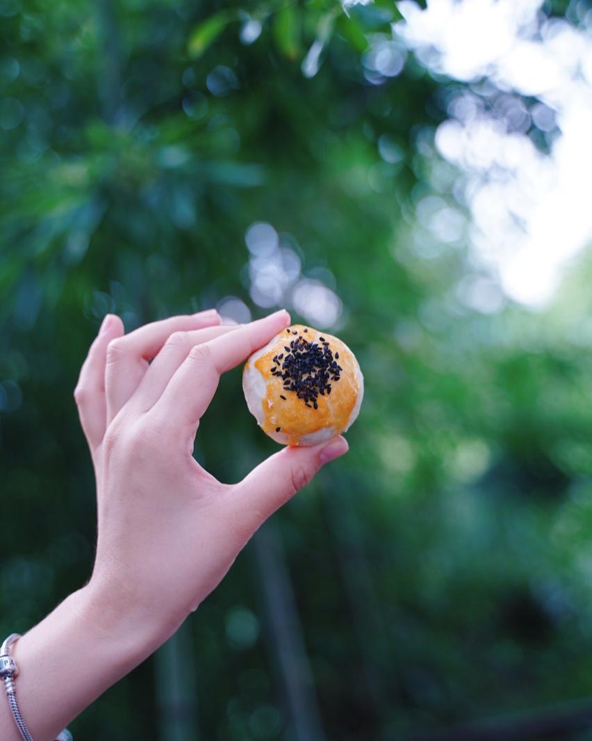 最详细的蛋黄酥（广式月饼🥮）方子修订版（新手必看）