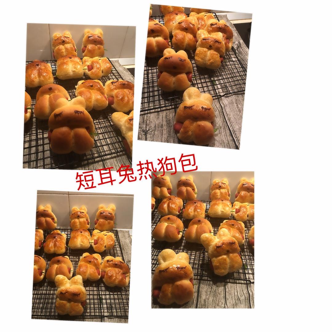 小兔子热狗包