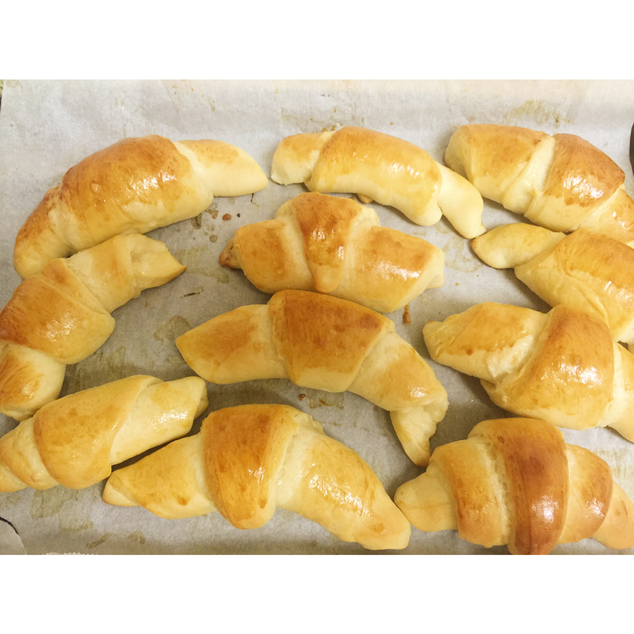 老式油酥面包 Yusu Bread
