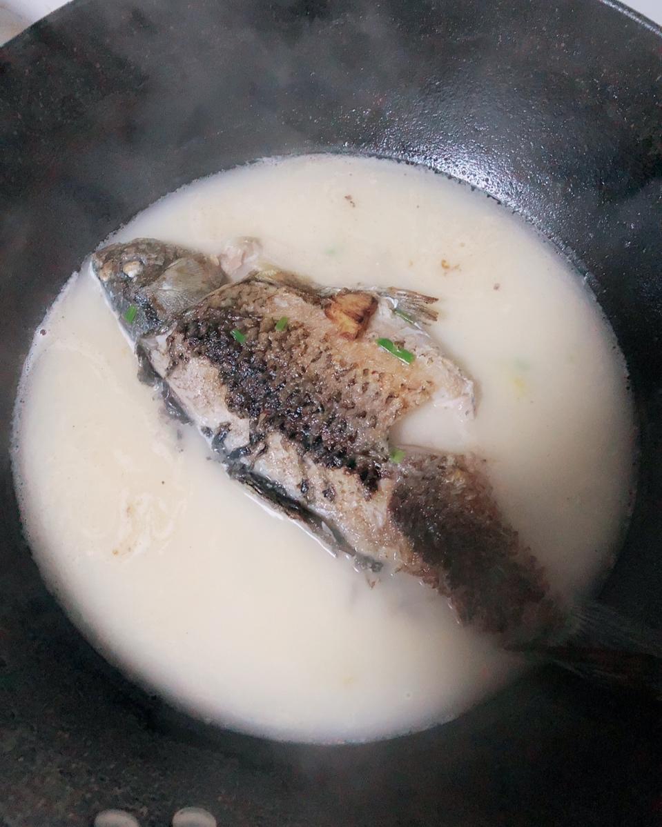奶白鲫鱼汤