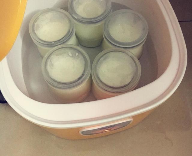 酸奶机自制酸奶的做法