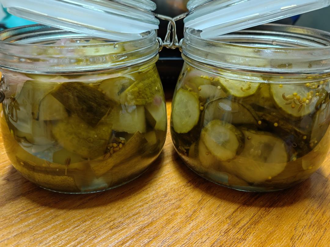 俄式酸黄瓜
