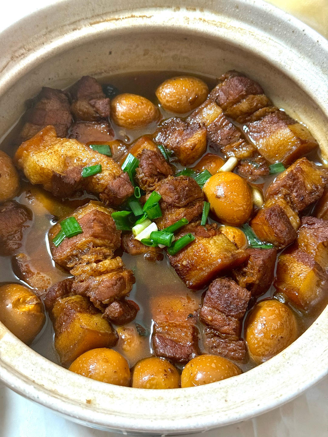 红烧肉🍲｜家常版
