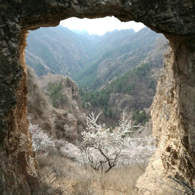 一休哥爱美食