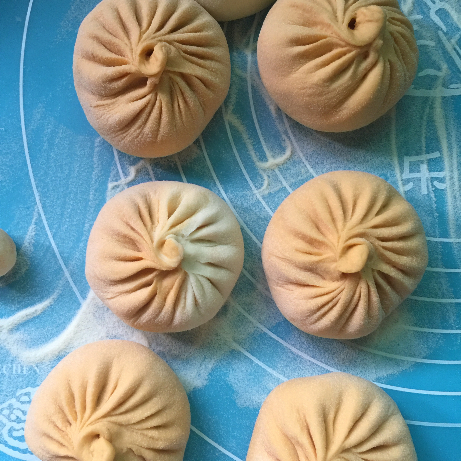 堂妈揭秘蒸包子的诀窍