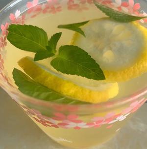 薄荷柠檬水🍋的做法 步骤8
