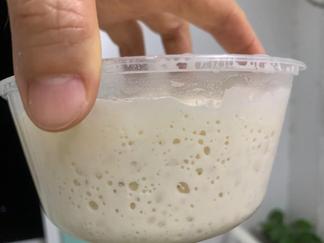 意大利夏巴塔(全麦天然酵种)