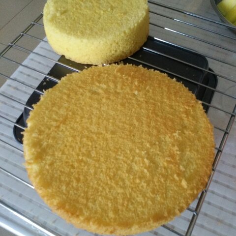 海绵蛋糕