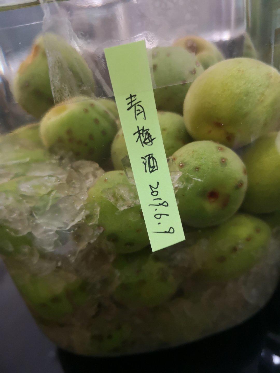 【青梅酒】梅子的沉醉时光（已填坑）