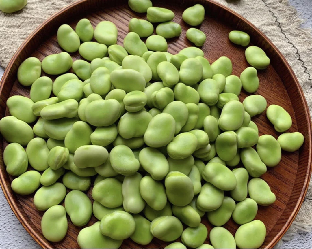 油焖蚕豆