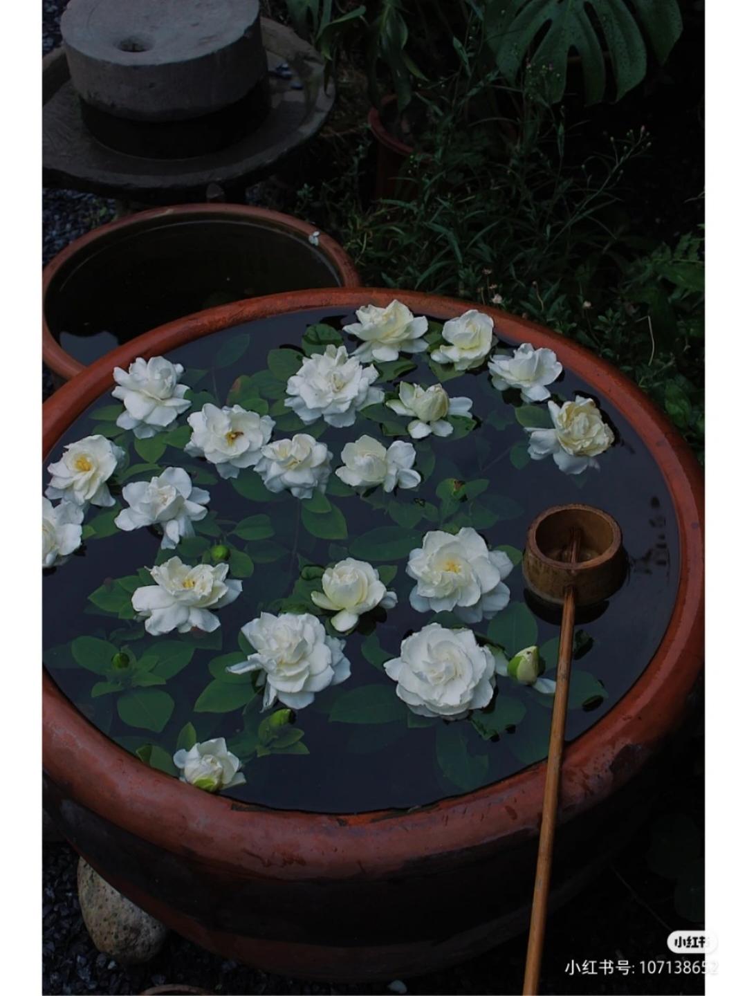 喜欢吃巧克力冰激淋