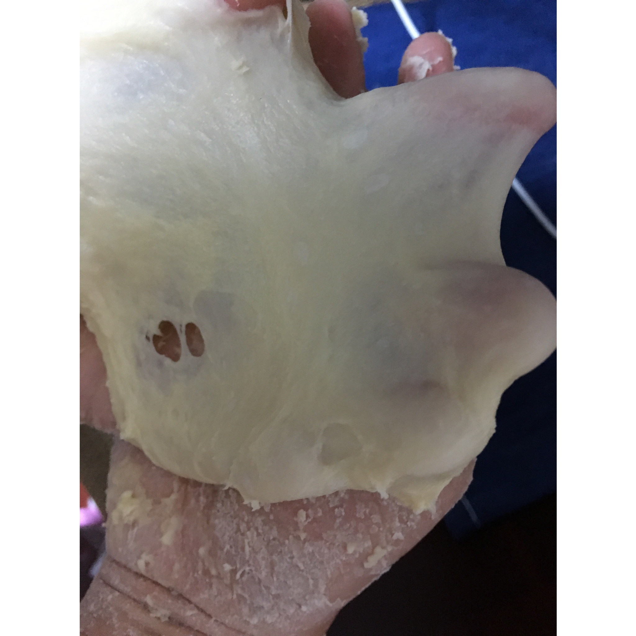手工揉面揉至完全扩展阶段的经验汇总——鸭蹼不是梦！！！