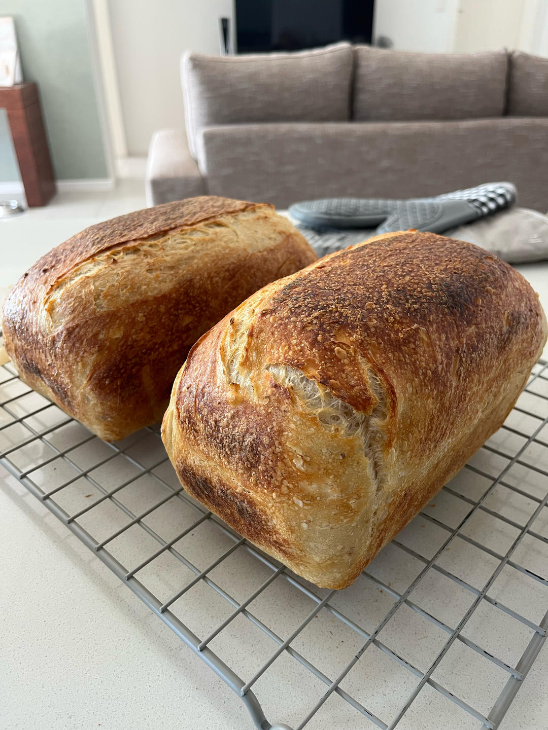 【Ken Forkish】Pain de campagne天然酵种法国乡村欧包（附水温换算公式）