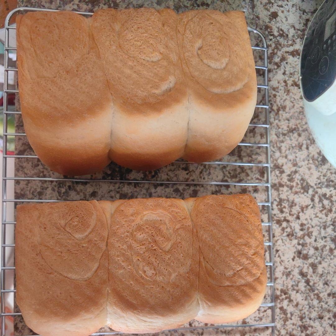 波兰种牛奶吐司