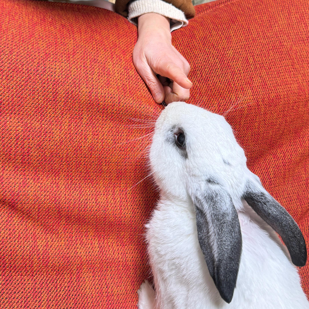 水边的埃涅阿斯