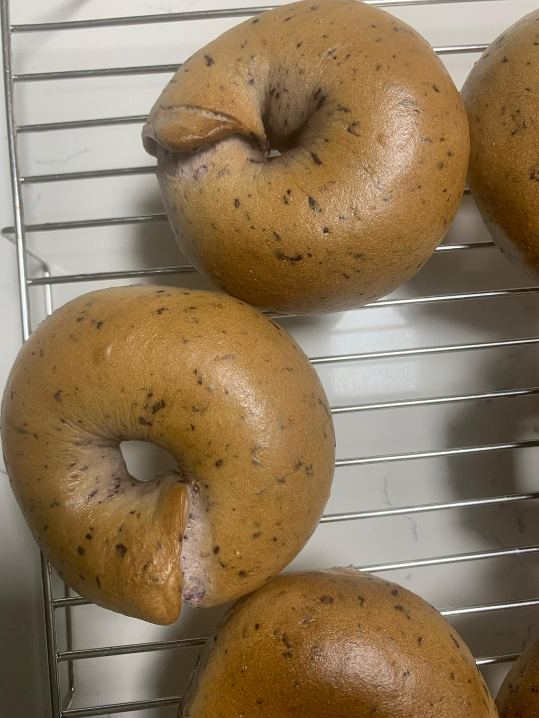 奶香蓝莓乳酪贝果💗新鲜水果香气🥯