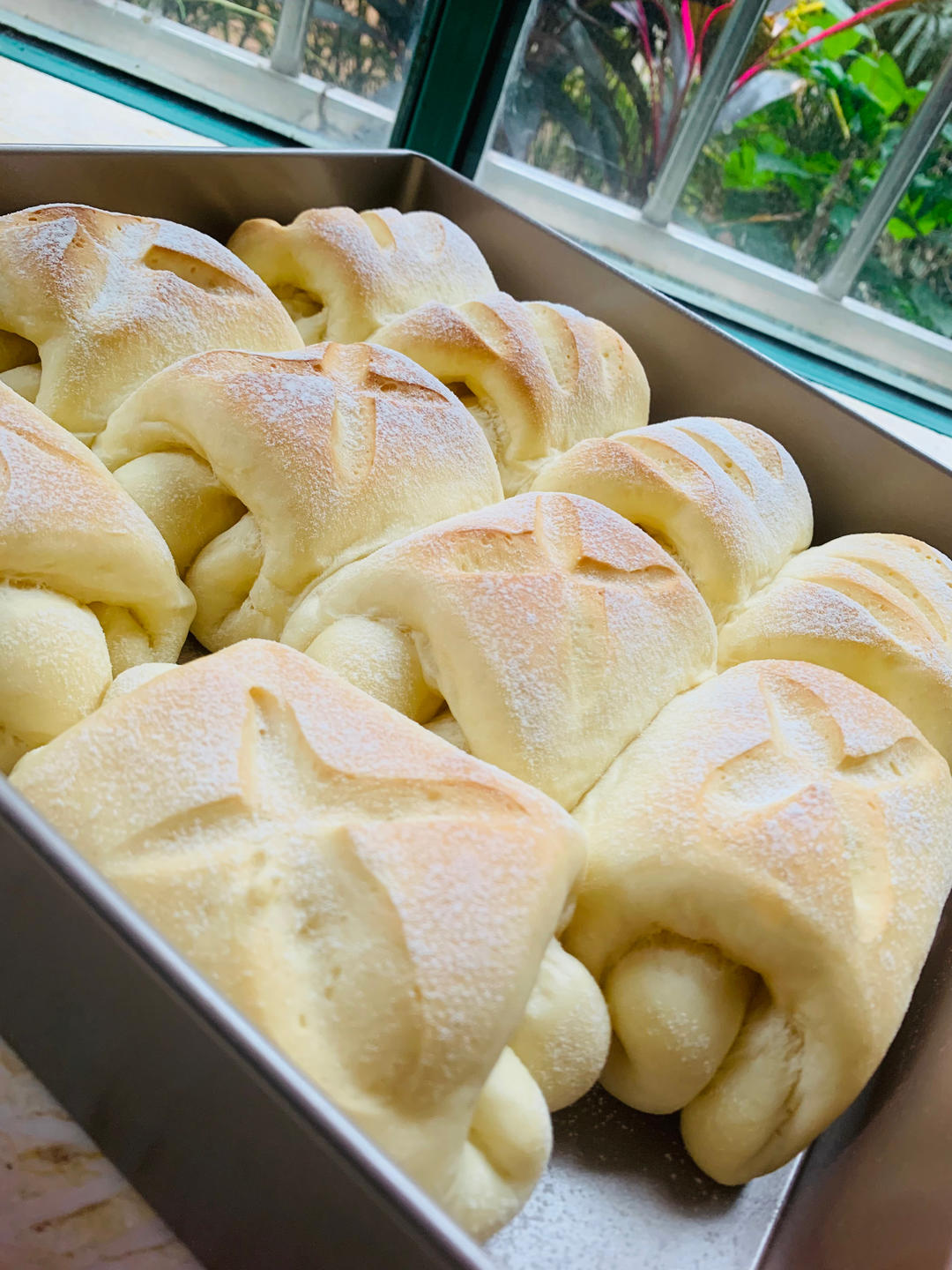 软到不知所措的牛奶卷