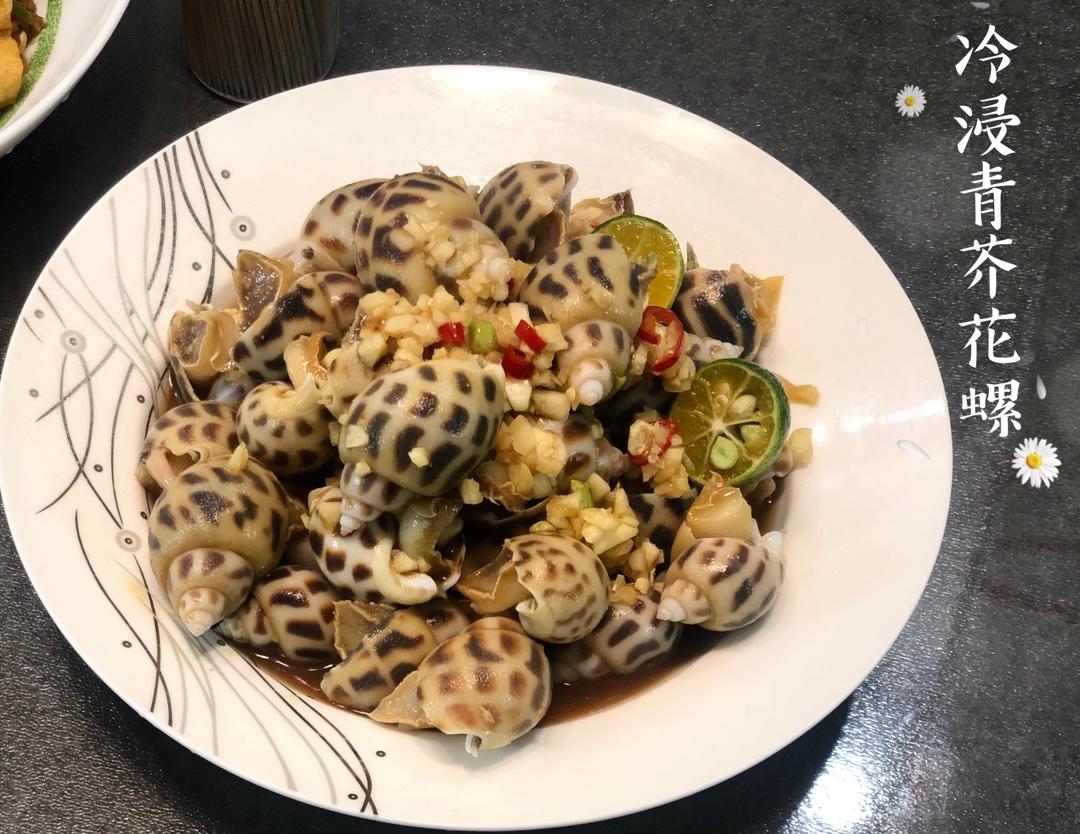 金猫咪食堂-冷浸芥末花螺