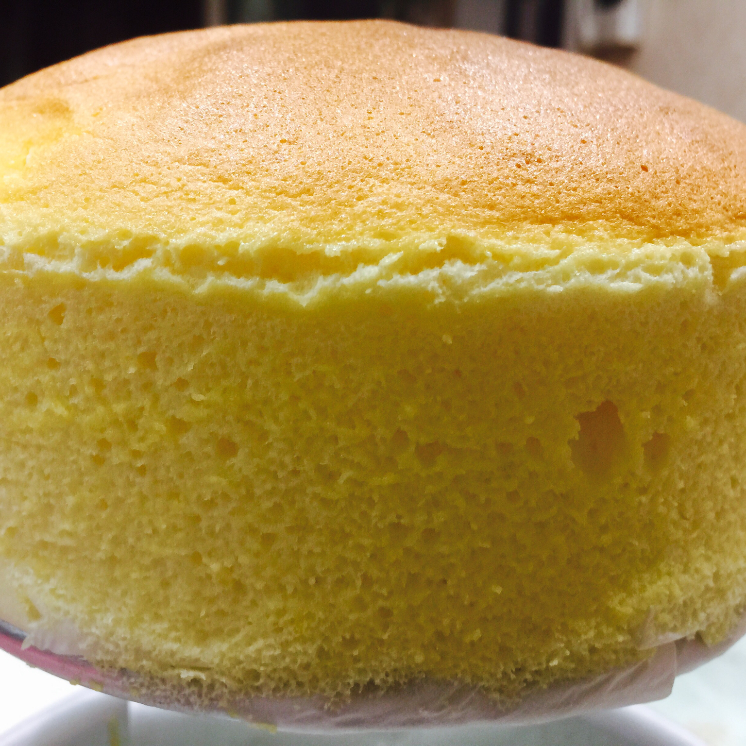 无油酸奶蛋糕【仿真轻乳酪】