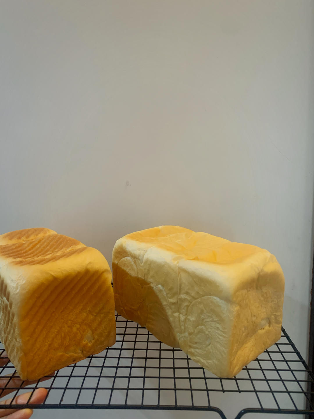 超滋润的椰蓉吐司｜100%酸奶中种(面包体绝绝子，推荐)