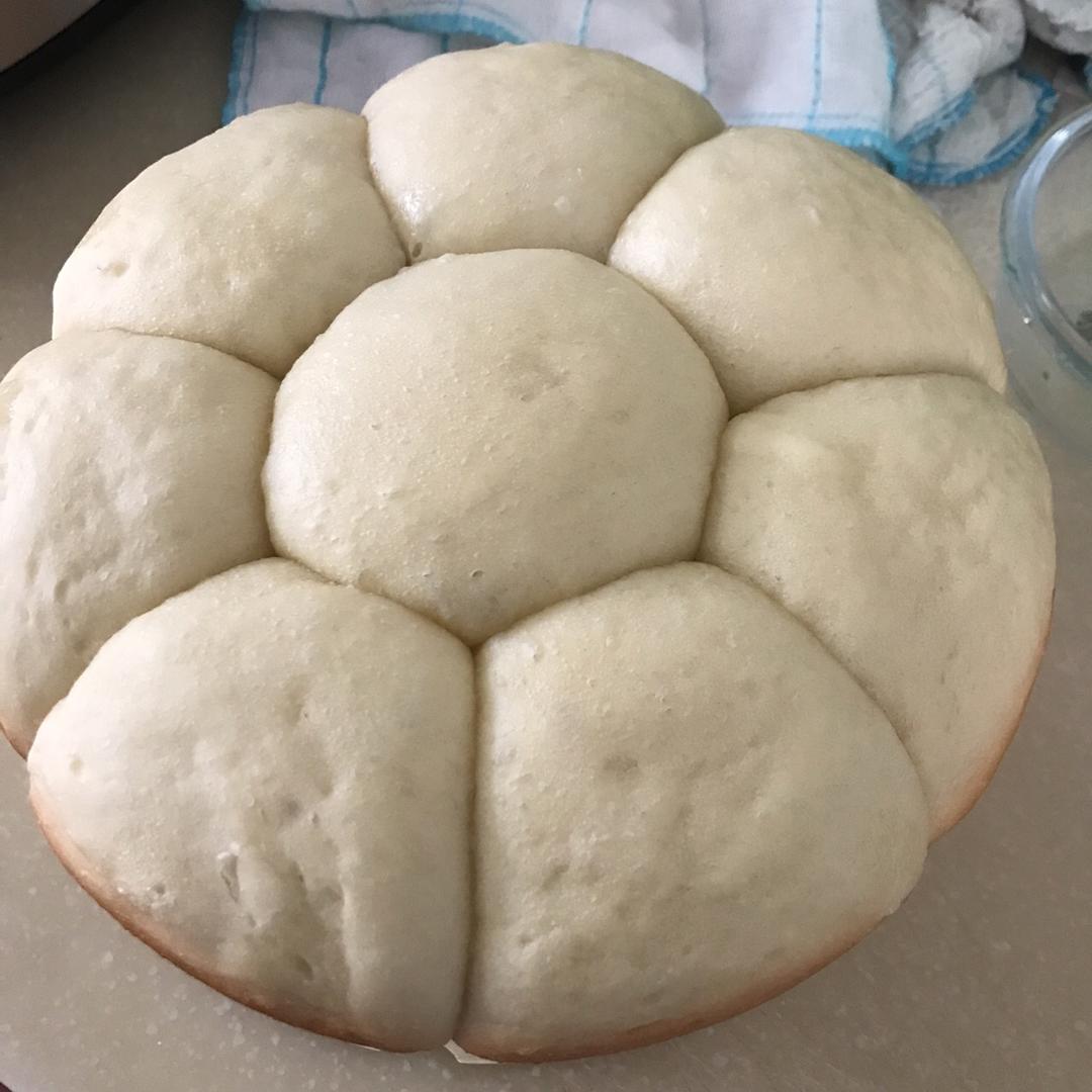 用电饭锅一次发酵做出好吃的面包（无需揉出膜）