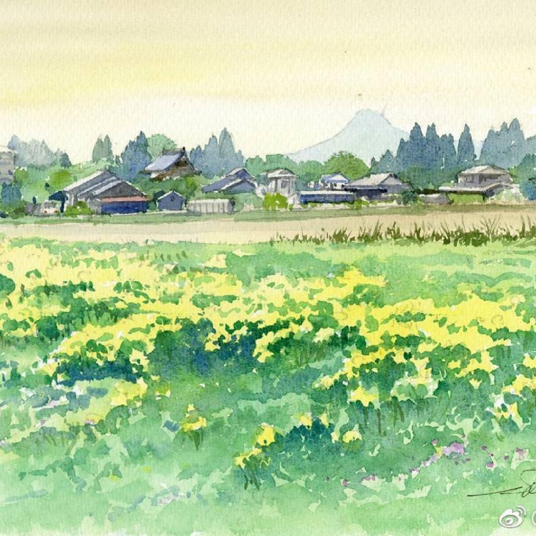 网友小彭