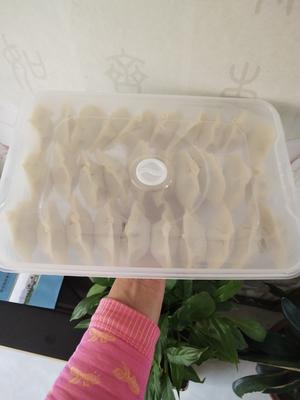 白菜韭菜肉饺子的做法 步骤10