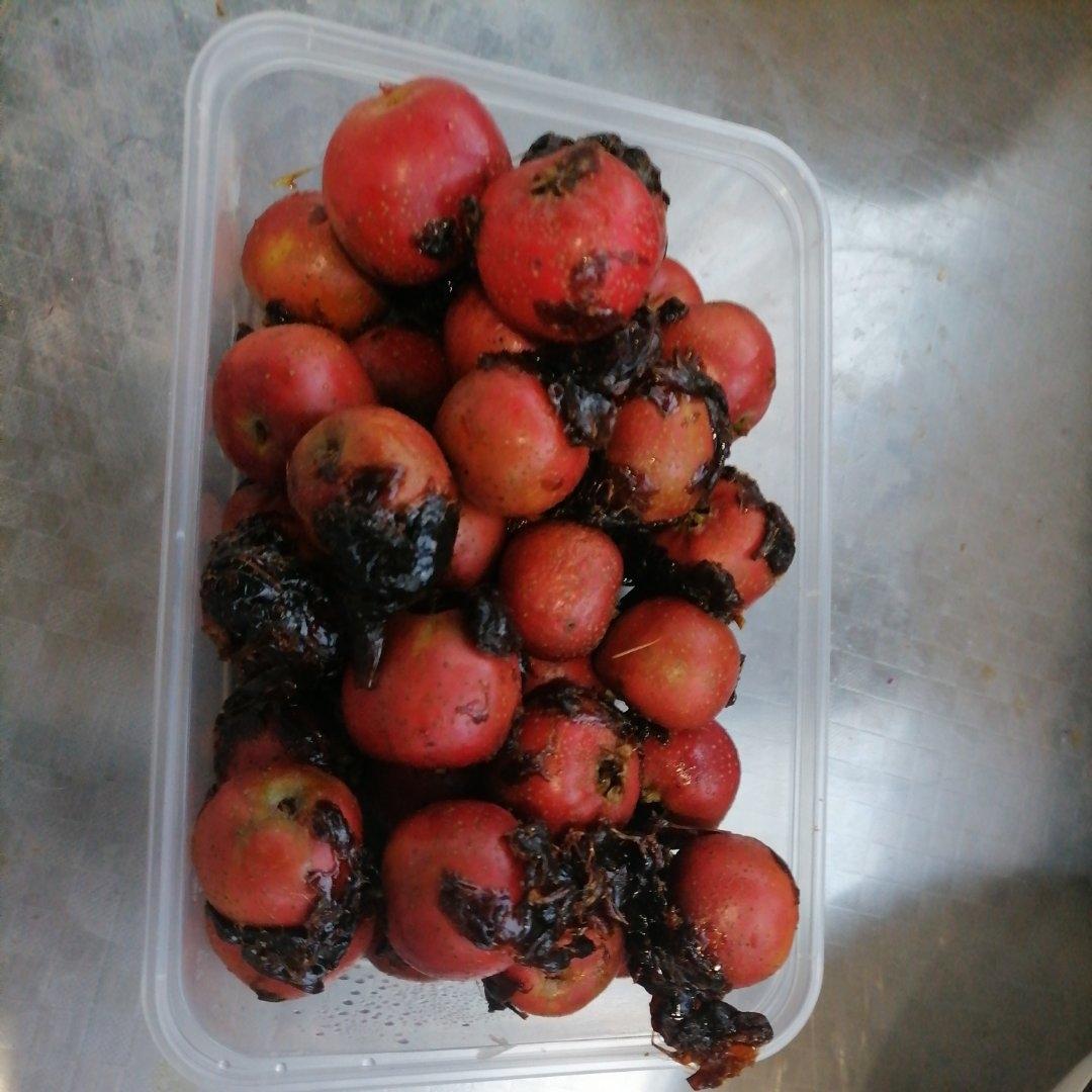 easy•山楂糖雪球