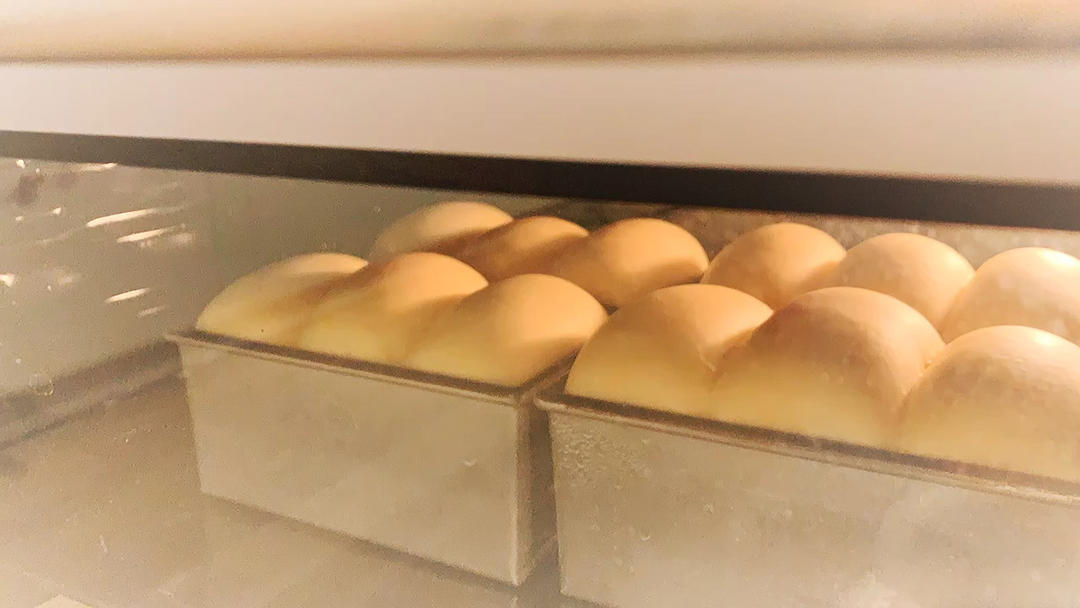 玉米油版一次性发酵吐司