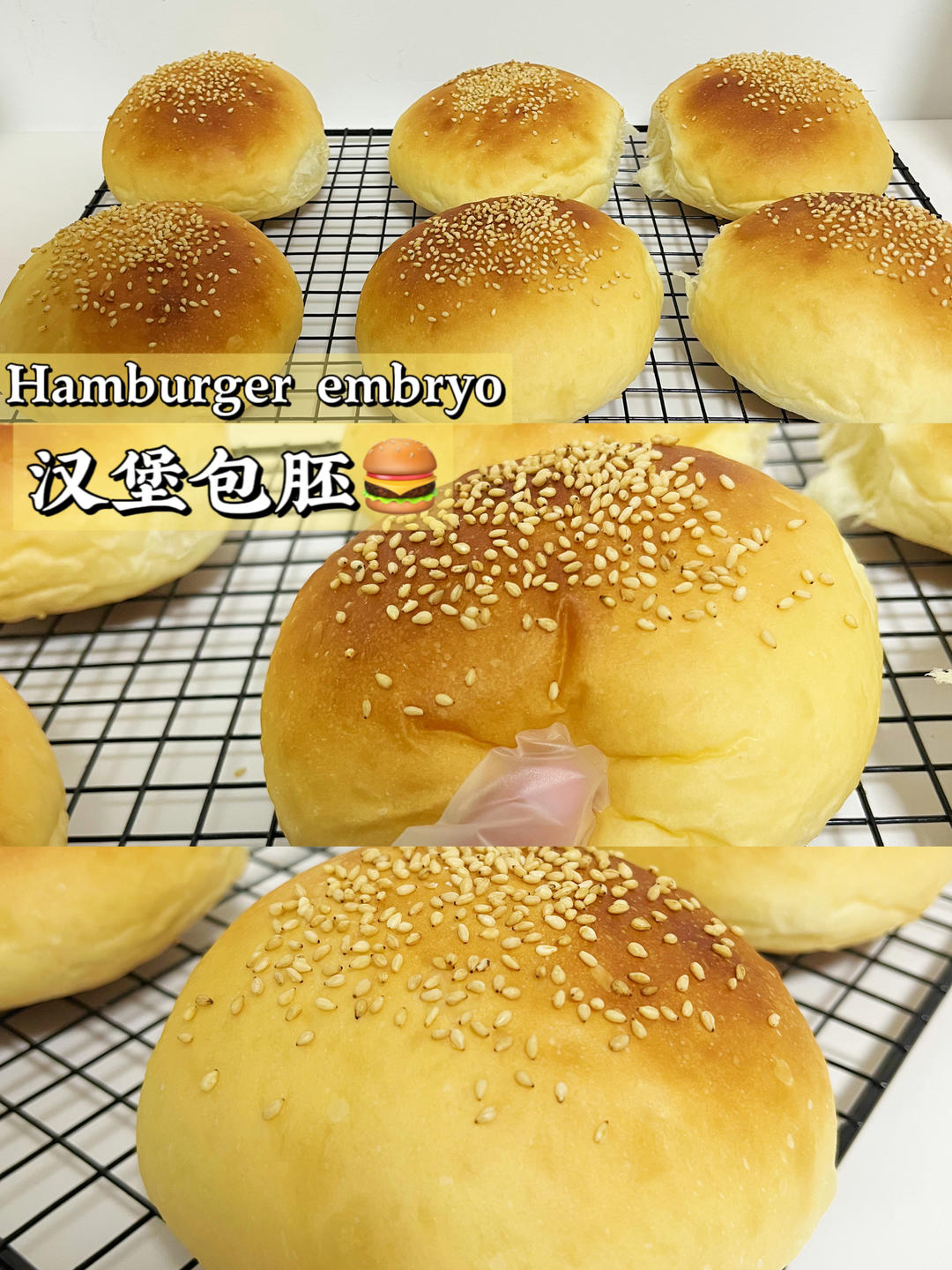 汉堡胚🍔的做法