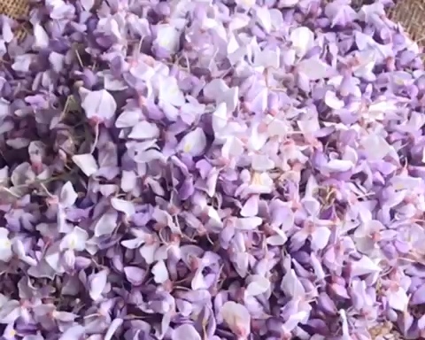 紫藤花炒蛋的做法