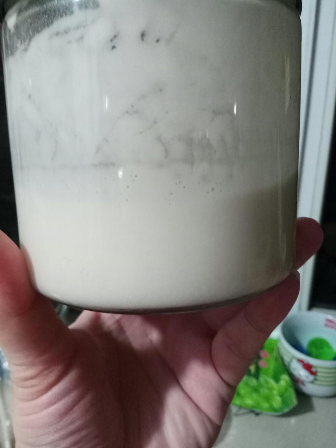 天然酵母宝宝养成记