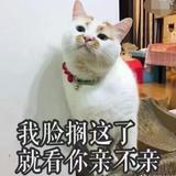 阿修啊