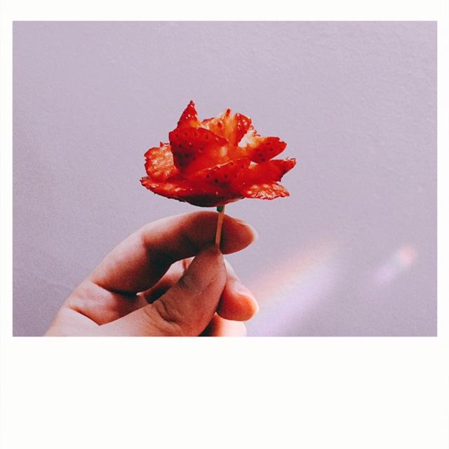 草莓玫瑰花